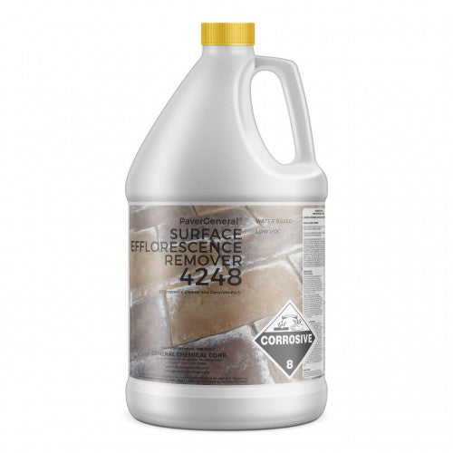 SER-4248 EFFLO REMOVER 1 GAL 1 Gallon