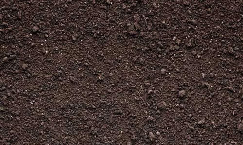 Topsoil
